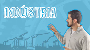Porque o desenvolvimento industrial brasileiro ocorreu de forma desigual?