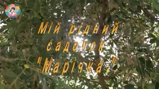 Дошкільний навчальний заклад 49