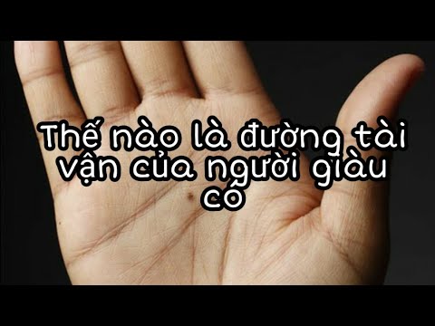 Youtube chuyen la co that 100 Youtube chuyen la co that 100