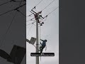 Installing bird repeller on the wire pole wisdom tips tools machines easy easyway easywork 