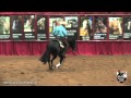 Ref black mamba and jordan larson  2012 atrc nov horse open