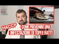 Come prevenire un'infestazione di topi e ratti?