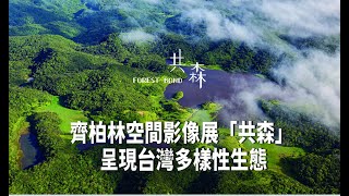 齊柏林空間影像展「共森」 呈現台灣多樣性生態