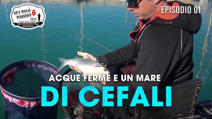 10 Migliori Canne Da Pesca Bolognese 4 Metri In Italia