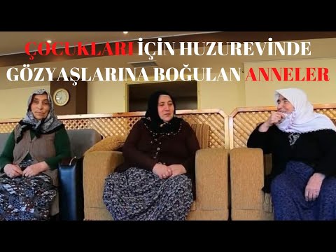 Huzurevlerinden Gözü Yaşlı Çilekeş Annelerin Hayat Hikayeleri