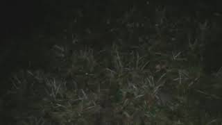 Aubrey Key - Candy (Music Video)