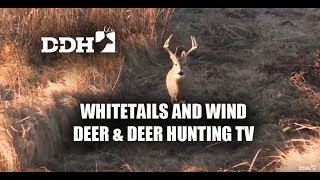 Whitetails and Wind | Deer & Deer Hunting TV screenshot 4