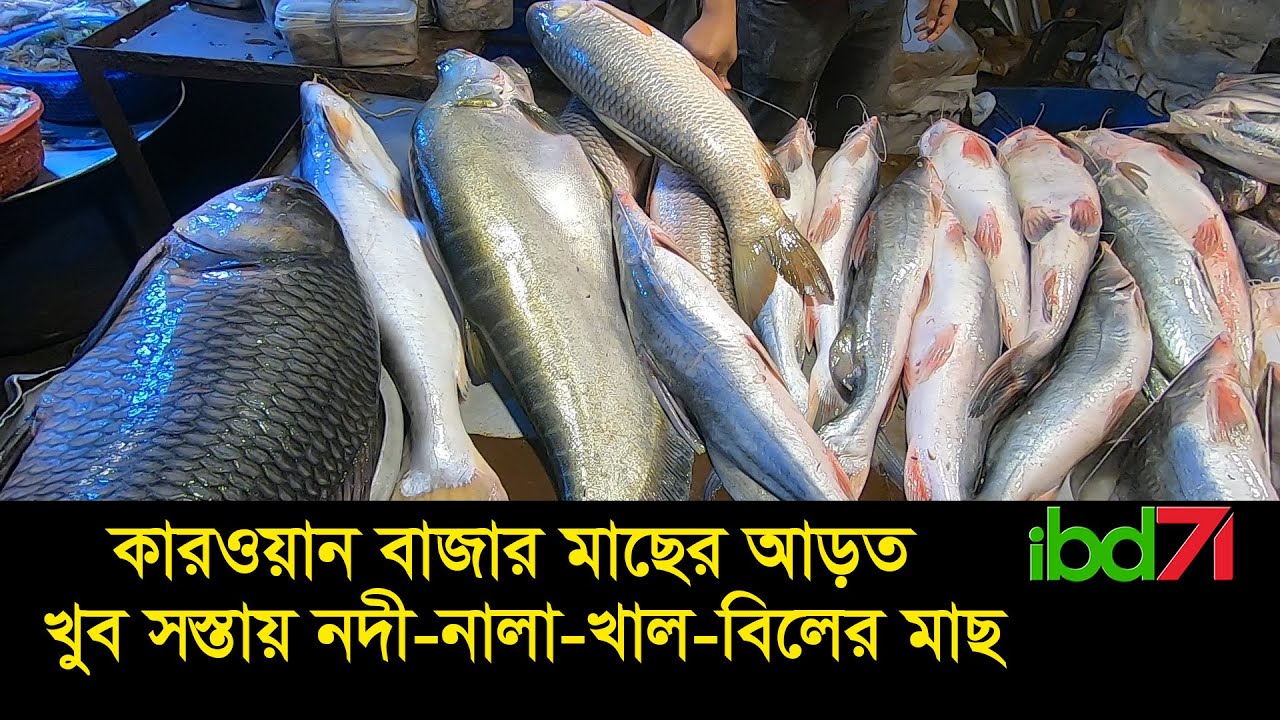          1 kg fish for wholesale rates in Karwan Bazar
