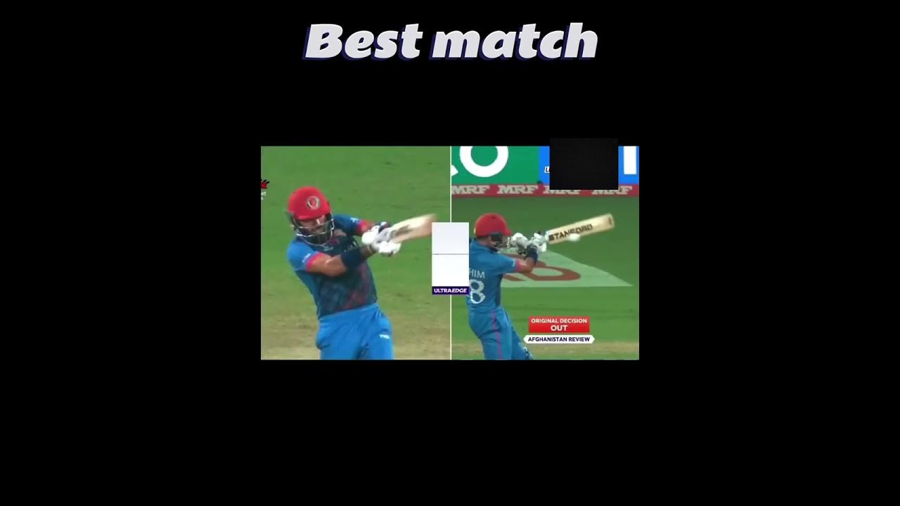 Pak vs Afg World Cup 2023 full highlights match / Afghanistan beat