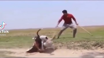 Video trò đùa cười ỉa ra quần hài nhất trên tiktok