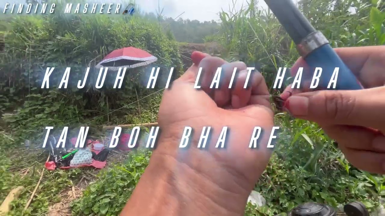 Poi khwai biang sha wah umran iewsier mynta sngi 05/05/25