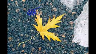 Kutsal Darbe - Acılarım (Prod.furkan Cosgun)