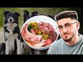 Best Raw Food Diet For Dogs | Undeniable Truths &quot;Experts&quot; Won&#39;t Tell You