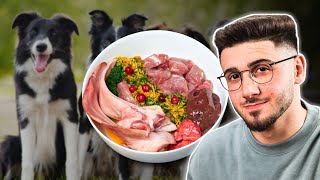 Best Raw Food Diet For Dogs | Undeniable Truths Experts Wont Tell You