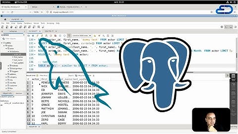 SQL for Data Analysis | شاهد كيف أصبح الفيل والدرفيل أصدقاء