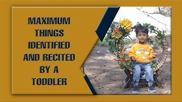 MAXIMUM THINGS IDENTIFIED AND RECITED BY A TODDLER