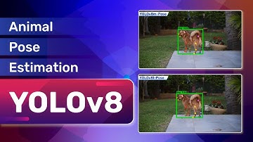 Unlocking Animal Pose Estimation with YOLOv8: Fine-tuning for Dogs