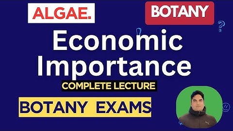 Economic importance of Algae | Botany |#BotanyExamPrep 