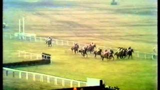 1979 National Hunt Handicap Chase