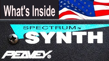 Quick Look | Inside the Peavey Spectrum Synth: 