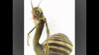 KEONG RACUN - Rock Version ( HQ )