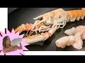 Scampi - Come Pulire gli Scampi