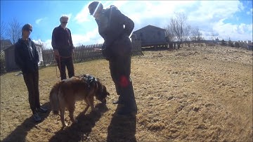 Charging the marker word reward based training