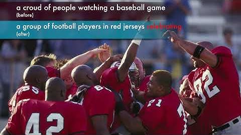 Novel Image Captioning