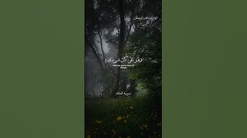#القرآن_الكريم #سورة_الملك #القارئ_ماهر_المعيقلي #راحة_نفسية #اكتب شيئا تؤجر عليه