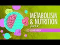 Metabolism & Nutrition, Part 2: Crash Course A&P #37