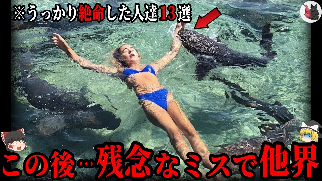 【ゆっくり解説】酷すぎるミス・事故で他界してしまった人達13選part6【残念な人達】