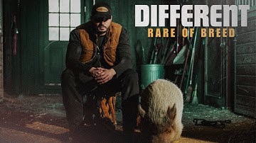 Rare of Breed - DIFFERENT (Music Video)