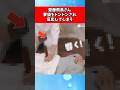 齋藤飛鳥さん、夢袋をトントンされて反応してしまう