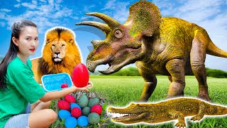 Crocodile and lion eat dinosaur eggs, Changcady helps dinosaurs find eggs - Part 290