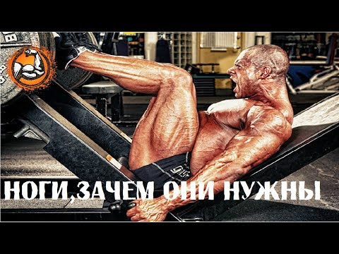 Почему нужно тренировать ноги?