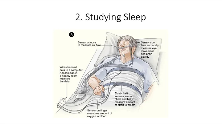 12.2. Studying Sleep,  Fundamentals of Cognitive Neuroscience Course, Session 12, Part 2