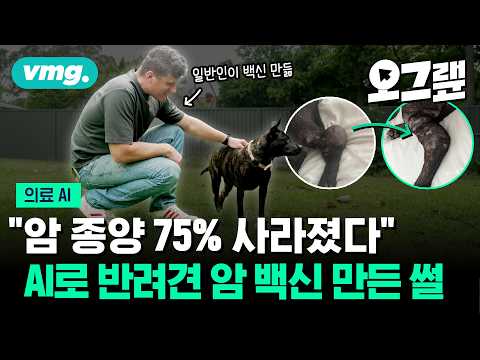 "암 종양 75% 사라졌다" AI로 반려견 암 백신 만든 사연 / 오그랲 / 비디오머그