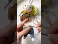 ✅Más de 3000 Patrones de Amigurumi en Español: Claros, Completo y Fáciles de Seguir