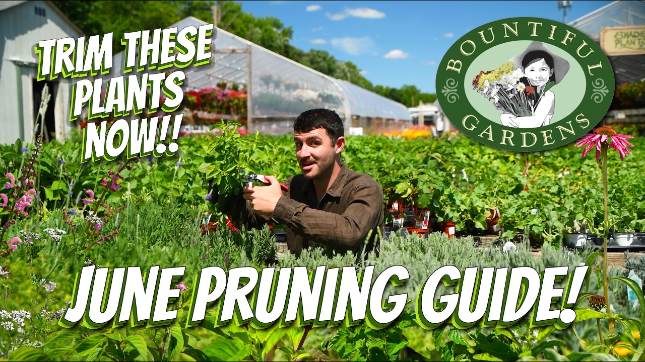 Chop These Now!! ✂️ June Gardening Guide!