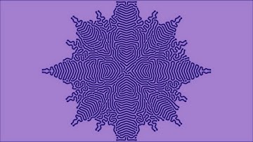 Reaction Diffusion Simulation | k0.0637 / f0.0448