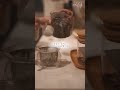 自分を整えるワーママ🌿ナイトルーティン｜自分時間｜働く女性