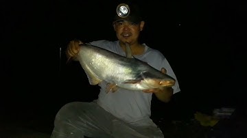 Điểm câu đường trung đông 8 , câu cá hóc môn