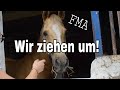 Die pferde ziehen auf unseren hof fma