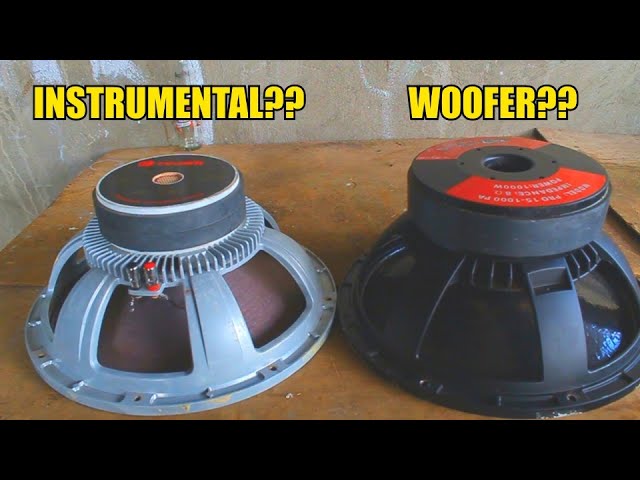 What is the Difference between Woofer And Instrumental Speaker: Key Insights 2 sddefault What is the Difference between Woofer And Instrumental Speaker: Key Insights