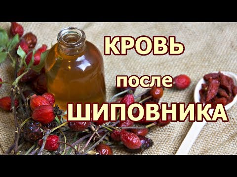 Кровь после шиповника