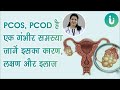 Pcod       dr archana nirula  pcospcod      