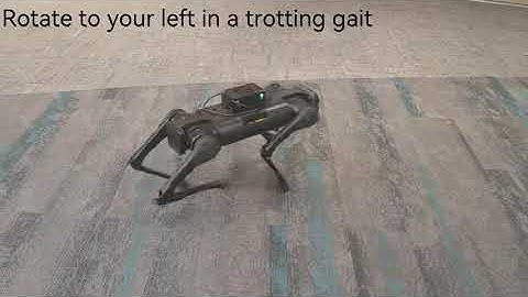 Integrating Diffusion-based Multi-task Learning with Online Reinforcement Learning for Quadruped