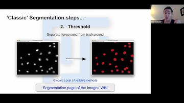 CZI Hosted Imaging Analysis Training - 