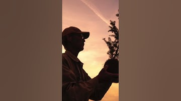 The faces behind our planting projects. YOU make this happen. 🙏 #TEAMTREES