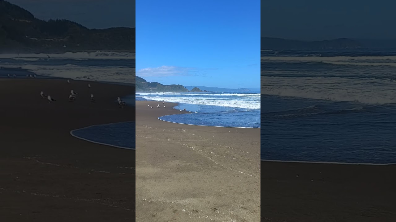 Playa Mision,Valdivia  los Ríos, Chile